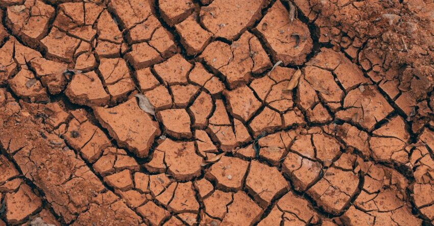 Agyagos föld javítása: kertépítés tippek és módszerek